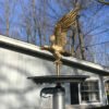 Shown with Eagle ornament to illustrate how the light is installed on flag pole. Eagle ornament not included.