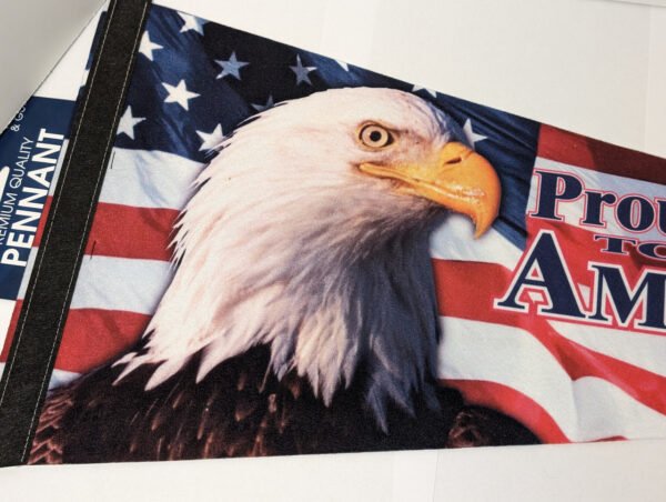 Close up of Bald Eagle on Pennant